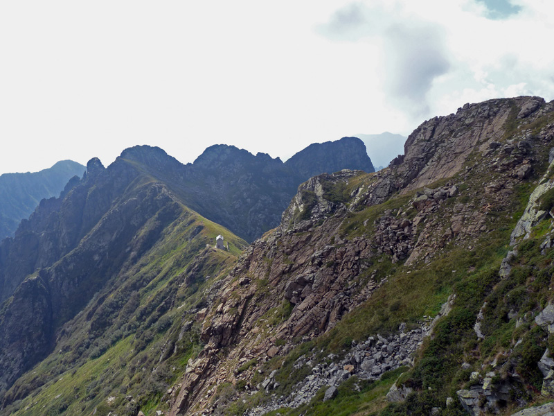 Camosci della Val Grande
